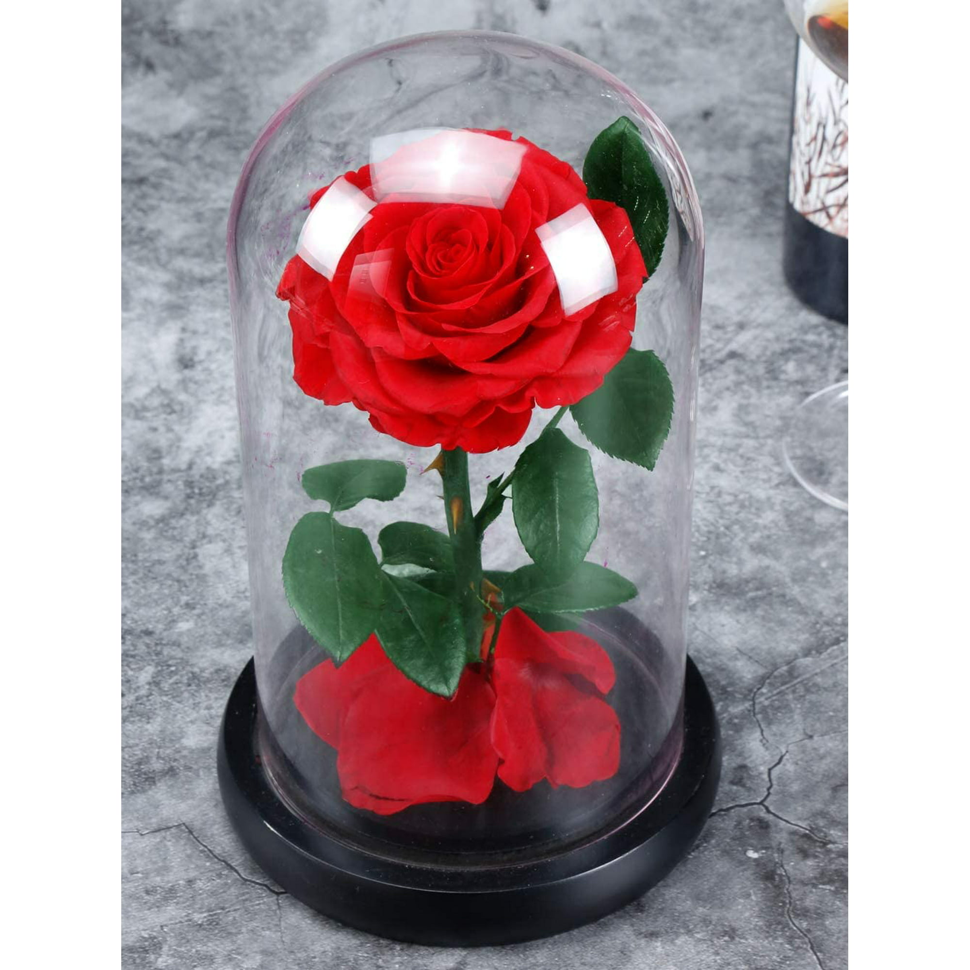 Forever Rose in Glass Dome Beauty And The Beast Preserved Eternal Gift Mother'sR